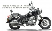 2010 UM Renegade 200 LE photo